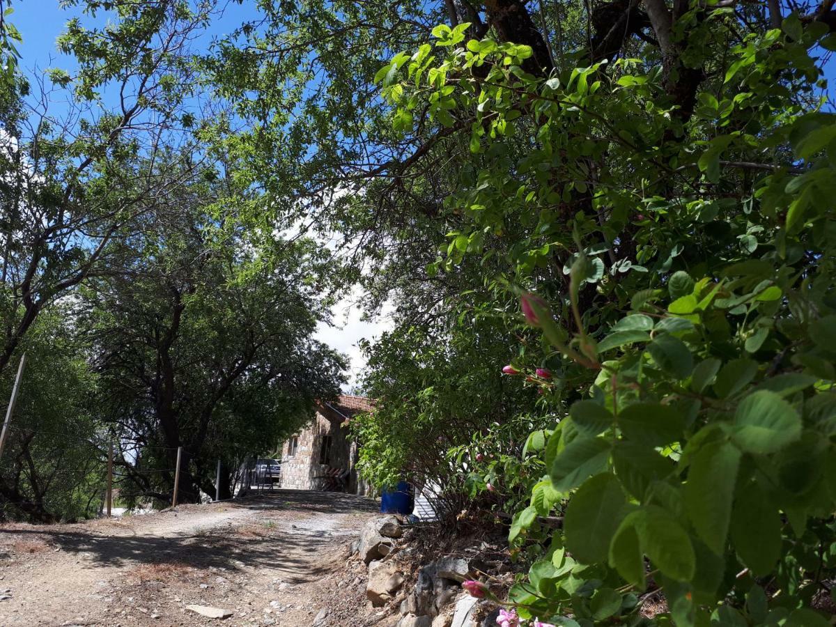 Agrompelo House Villa Agros Exterior photo